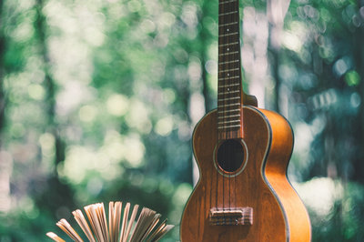 南開大學在職研究生