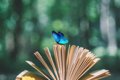 南開大學在職研究生