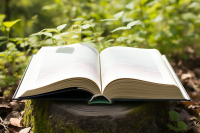 南開大學(xué)金融學(xué) 南開大學(xué)金融學(xué)