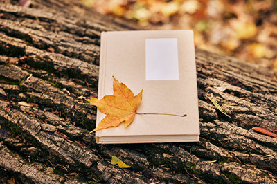 南開大學在職研究生 南開大學在職研究生