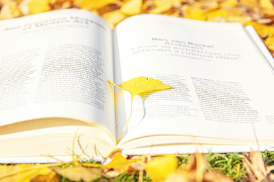 南開大學(xué)在職研究生 南開大學(xué)在職研究生