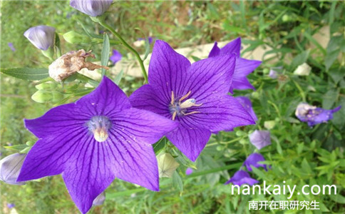 在職老師可以考南開大學(xué)在職研究生嗎