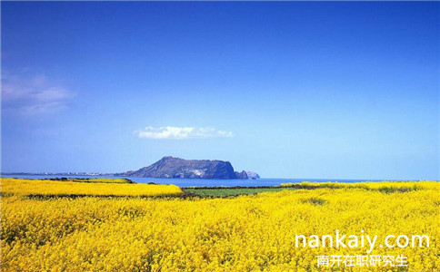 2017年南開大學在職研究生有什么專業