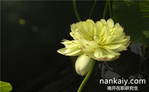 2017年南開大學同等學力申碩在職研究生報名時間