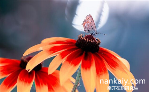 報(bào)考南開(kāi)大學(xué)在職研究生有年齡要求嗎