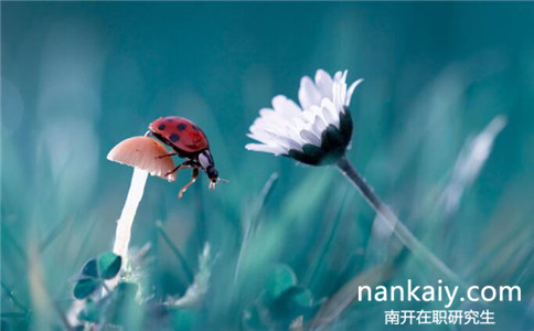 南開大學同等學力申碩可以獲得雙證嗎