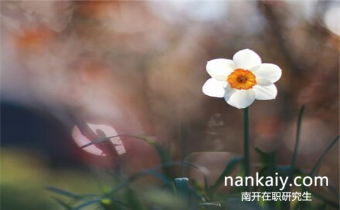 2017年南開大學同等學力申碩報考條件是什么