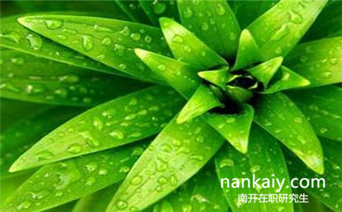 南開大學心理學在職研究生有什么招生專業方向