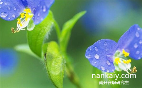 南開大學(xué)在職研究生報(bào)名條件