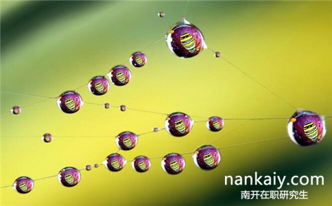 南開大學在職研究生